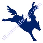 Bronco - logo for Boot and Western Store