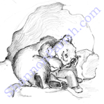 Sleeping bears - children's book illustration