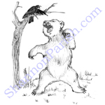 Growling bear - children's book illustration