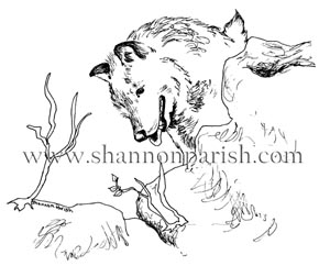 Line drawing of a wolf among bushes